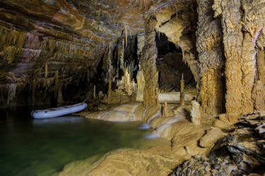 Lago Cerknica e viagem de um dia à caverna Krizna saindo de Liubliana